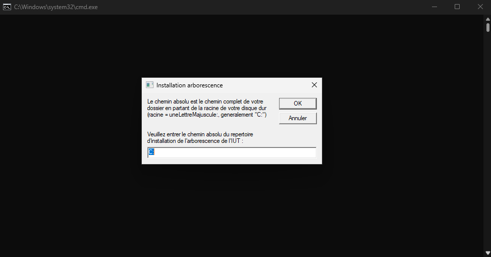 Image du projet